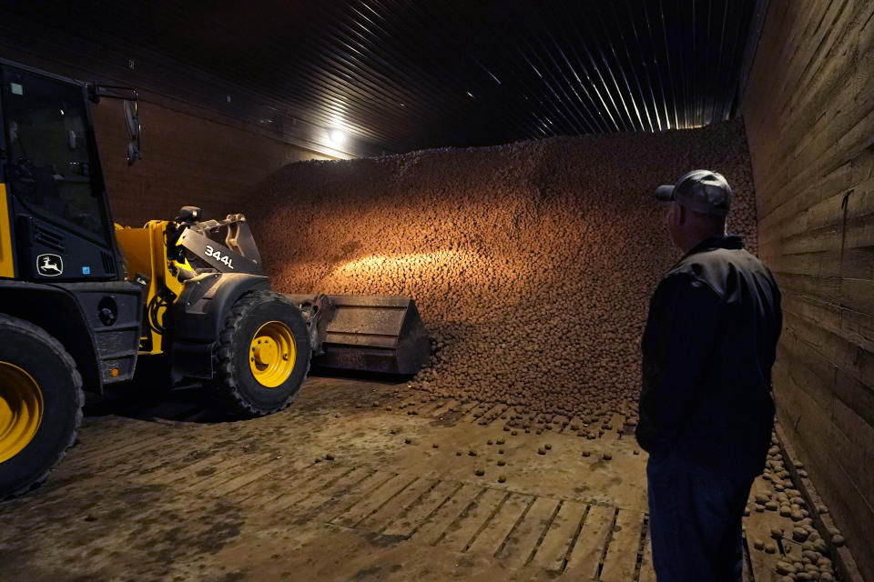 In a March 11, 2021 photo, potato farmer Brian Sackett watches as potatoes are moved from a storage bin at his farm in Mecosta, Mich. For generations, Sackett's family has farmed potatoes that are made into chips. About 25% of the nation's potato chips get their start in Michigan, which historically has had reliably cool air during September harvest and late spring but now is getting warmer temperatures. (AP Photo/Carlos Osorio)