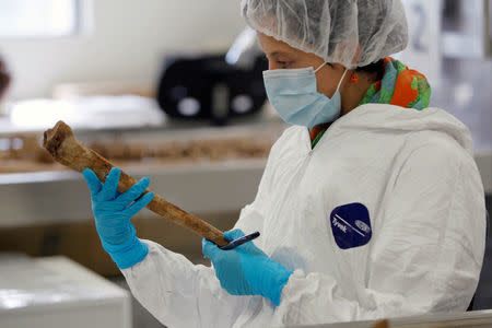 A forensic doctor examine the bones of an unidentified victim which is analyzed in the lab of the Attorney-General's office in Bogota, Colombia, May 5, 2017. REUTERS/Inaldo Perez