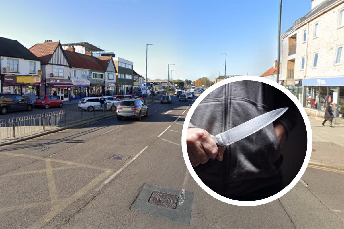 Arrest made as armed woman 'threatens people with knife' in south Essex <i>(Image: Google / stock image)</i>