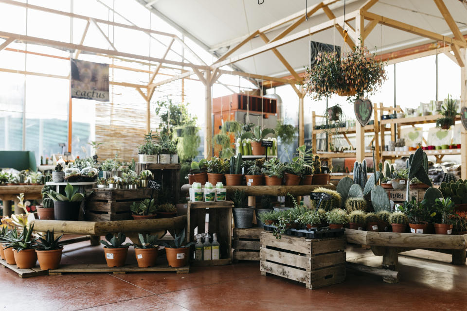 Gardening is important for mental and physical wellbeing. (Getty Images)