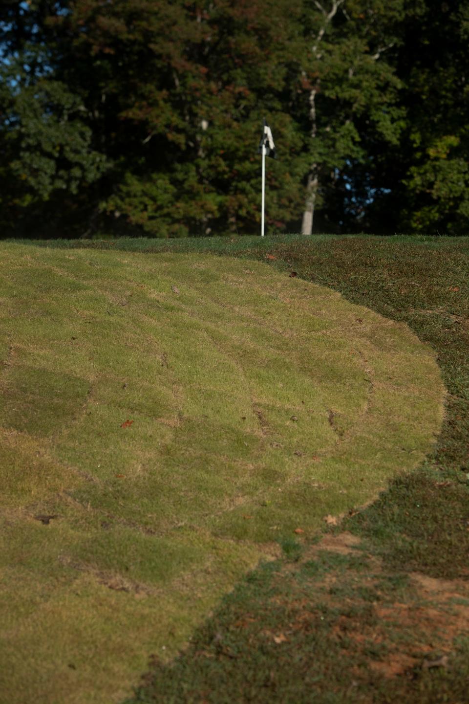 The grass on the green at hole 14 has been replaced at Asheville Municipal Golf Course.