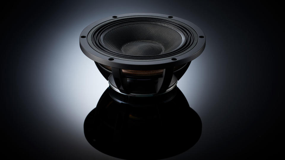 A woofer from TAD's Grand Evolution One loudspeaker.