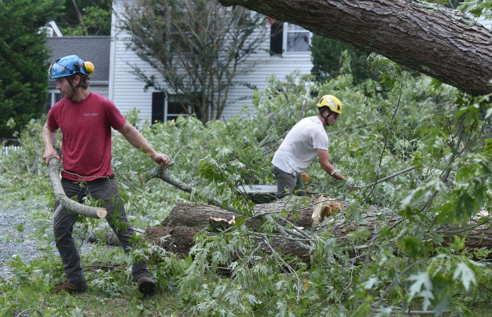 Brett Johnson, left, and Clay Ives work through tropical storm-force winds from Hurricane Lee to clear a large silver maple tree that came down on Saturday morning in Brewster beside the Cranberry Inn along Route 6A. The storm was downgraded as it passed Cape Cod.