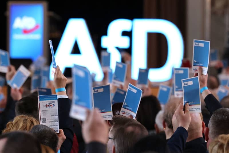 Delegates vote at the state party conference of the Alternative for Germany (AfD) Saxony-Anhalt in Magdeburg. Peter Gercke/dpa-Zentralbild/dpa