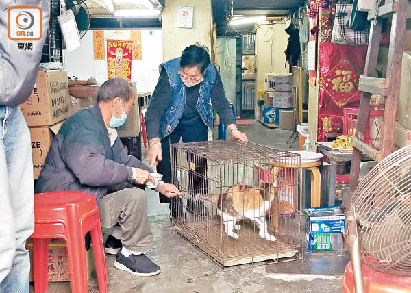 花貓與主人團聚。（趙瑞麟攝）