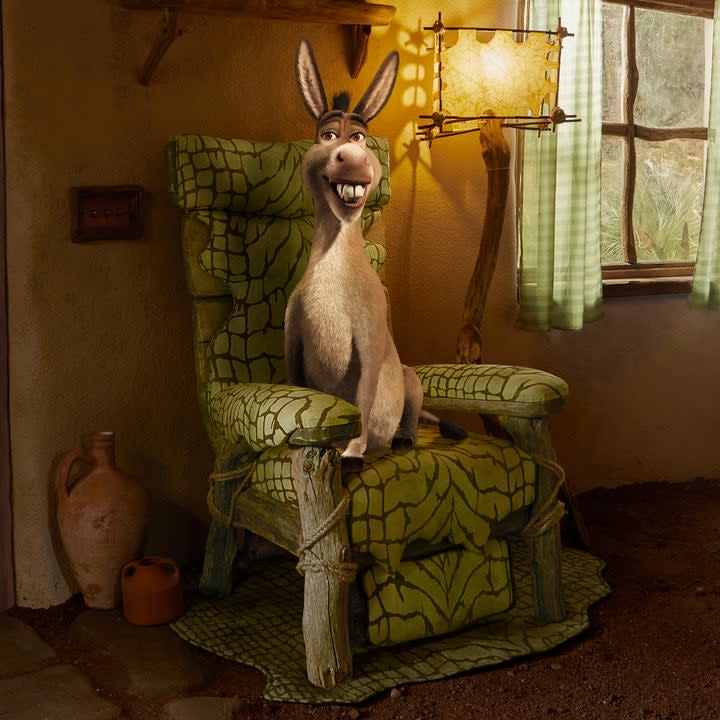 Donkey sitting on a chair