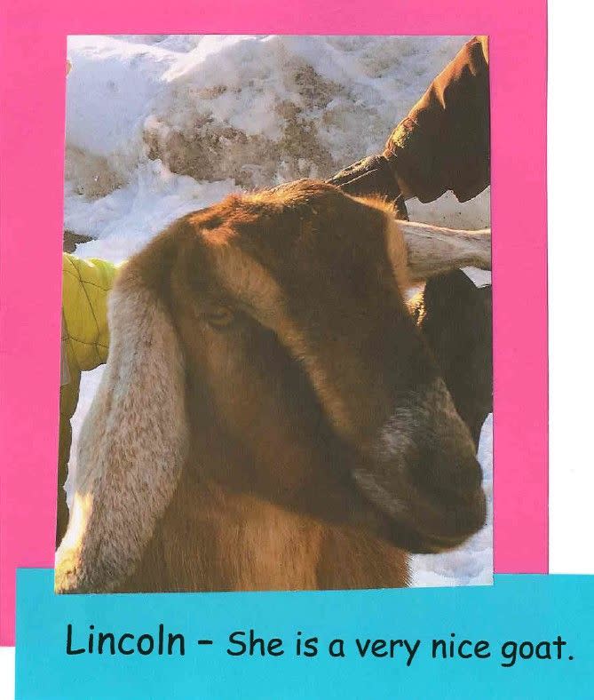 The goat named Lincoln won a special election, defeating a dog named Sammie by only three votes: 13 to 10.