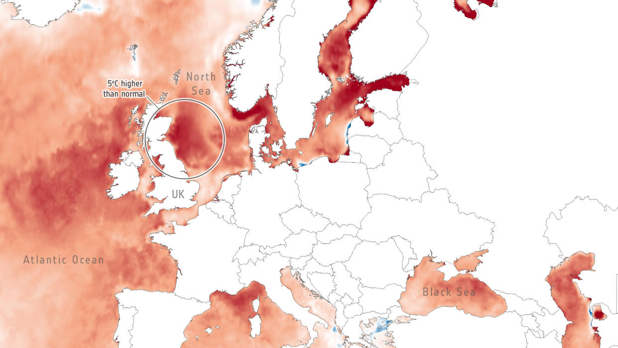  Satellite measurements show extremely high water temperatures around the coast of Britain and Ireland. 