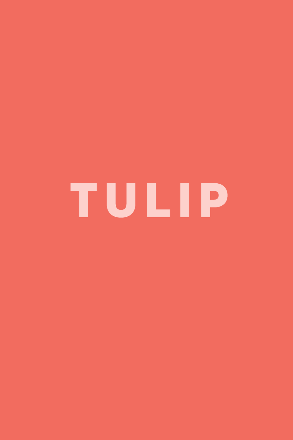 Tulip