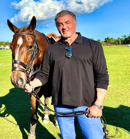 <p>Sylvester Stallone Instagram</p> Sylvester Stallone with a horse.