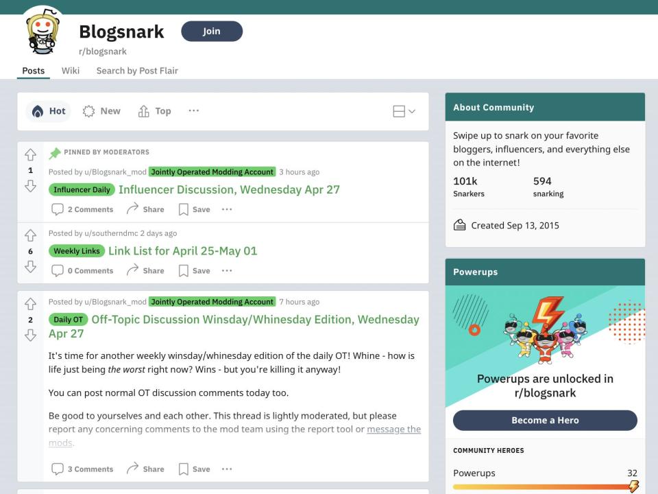 r/Blogsnark