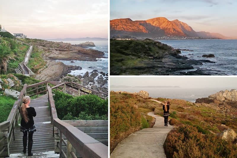 Hermanus cliff path - Photo by Rachel Robinson