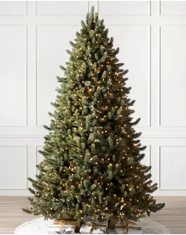 1) Vermont White Spruce