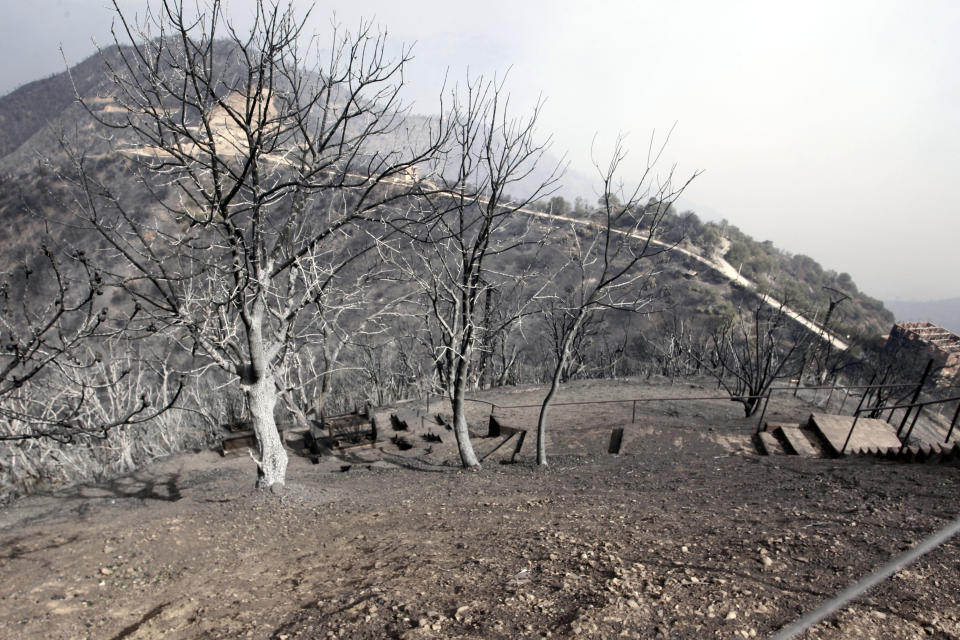 Burned trees are pictured near Tizi Ouzou some 100 km (62 miles) east of Algiers following wildfires in this mountainous region, Tuesday, Aug.10, 2021. Firefighters were battling a rash of fires in northern Algeria that have killed at least six people in the mountainous Kabyle region, the interior minister said Tuesday, accusing "criminal hands" for some of the blazes. (AP Photo/Fateh Guidoum)