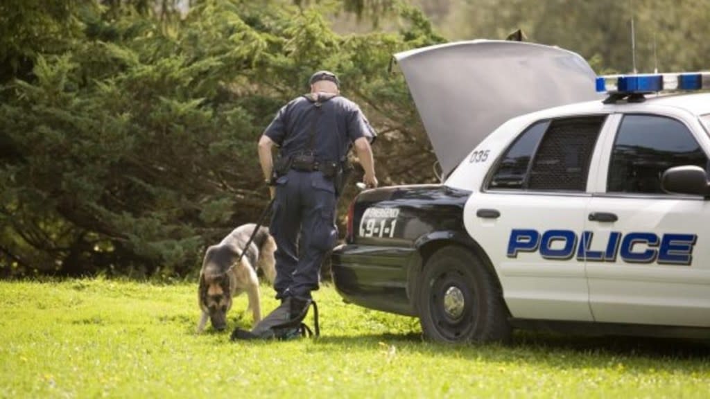 A police dog working with his handler, like the dog who helped find the missing toddler.