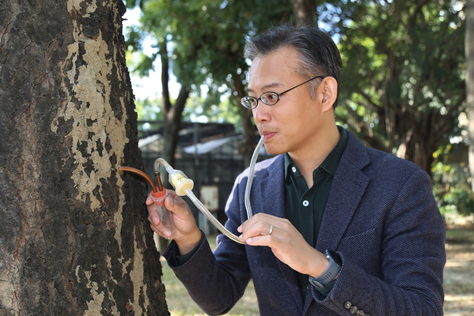 中興大學昆蟲學系教授李後鋒團隊找出白蟻蟻道成份