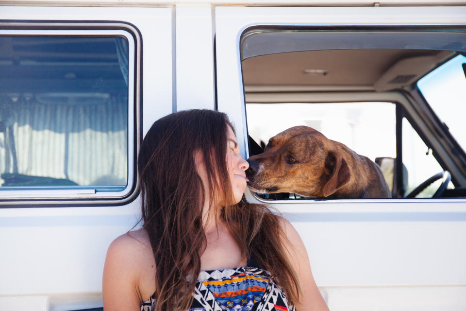 Urlaub mit dem lieben Haustier: So kannst du deinen Hund im Wohnmobil richtig sichern!