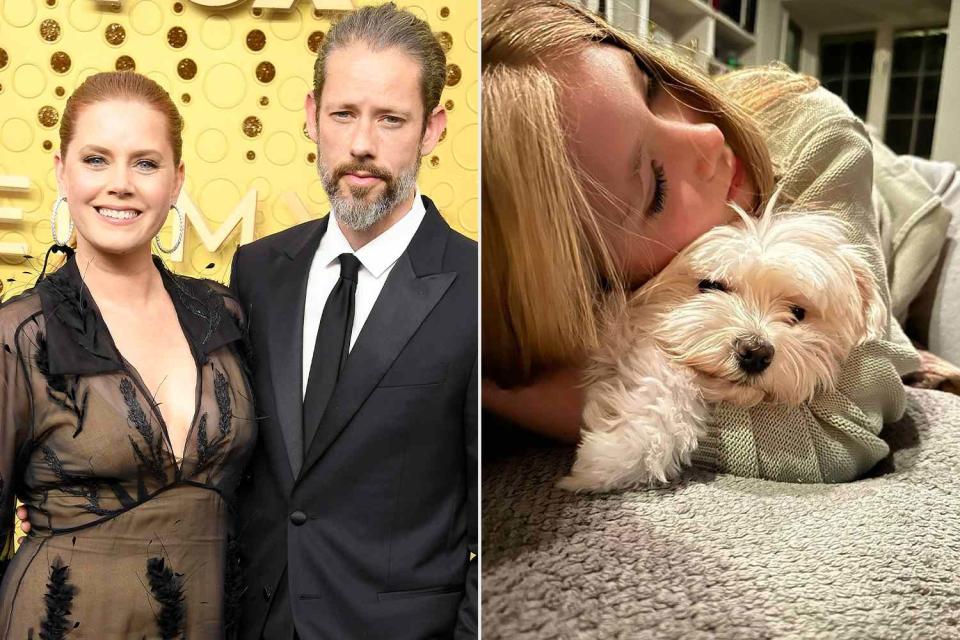 Steve Granitz/WireImage;Darren Le Gallo Amy Adams and husband Darren Le Gallo, daughter Aviana and her dog