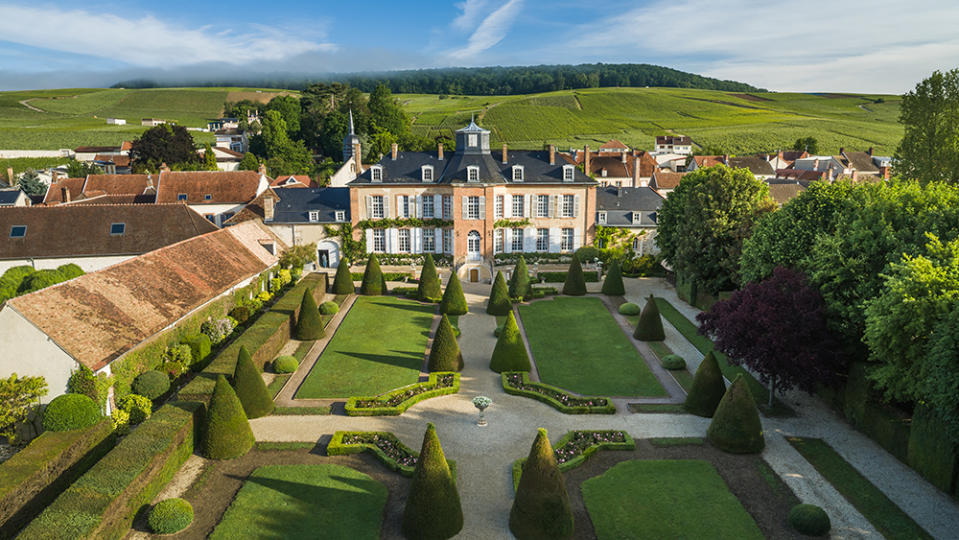 The Henriot family vineyard. - Credit: Henriot