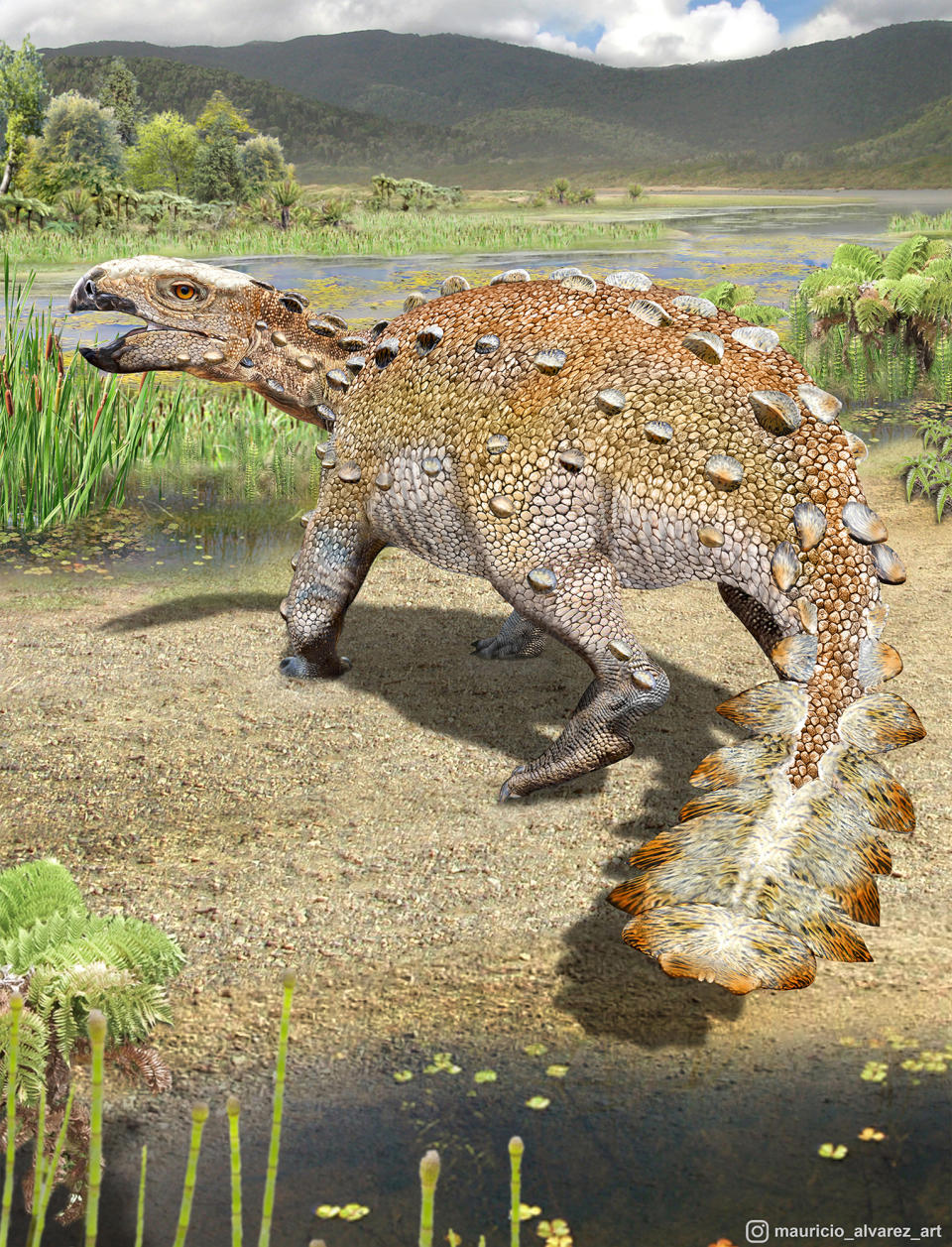 This illustration provided by Mauricio Alvarez shows a Stegouros. Fossils found in Chile are from the bizarre dog-sized dinosaur species that had a unique slashing tail weapon, scientists reported Wednesday, Dec. 1, 2021. (Mauricio Alvarez via AP)