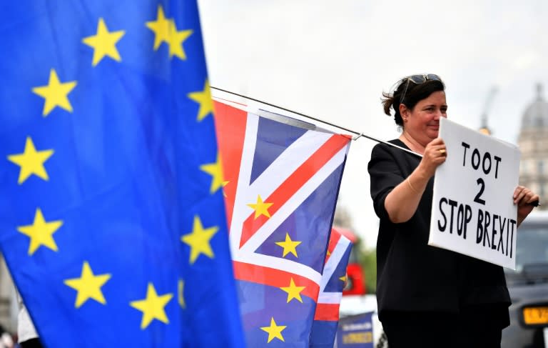 An anti-Brexit protest took place outside the Houses of Parliament in London on June 13, 2018