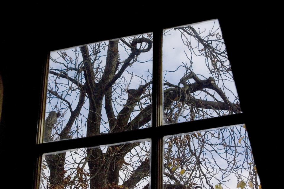 ARCHIVO – El árbol de castañas que reconfortaba a Ana Frank mientras se escondía de los nazis durante la Segunda Guerra Mundial es visto desde la ventana del ático en el anexo secreto en el Museo Casa Ana Frank en Ámsterdam, Holanda, 14 de noviembre de 2007. Un equipo que ha revisado evidencias por cinco años tratando de esclarecer uno de los más grandes misterios de la Segunda Guerra Mundial llegó a lo que califica como “el escenario más probable” sobre quién traicionó a la diarista adolescente Ana Frank y a su familia. (Foto AP/Peter Dejong, archivo)