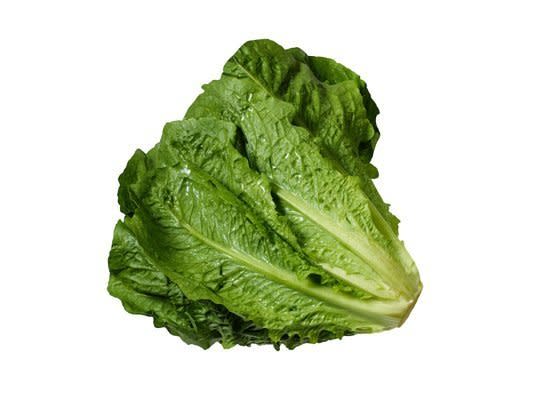Romaine (a.k.a. Cos) is exceptionally crisp and slightly bitter. It has long, narrow leaves with thick ribs. The most flavorful part is toward the center of the head -- this is why you will often see bags of Romaine hearts, packaged with the outer leaves removed. It's most well known in Caesar salad.