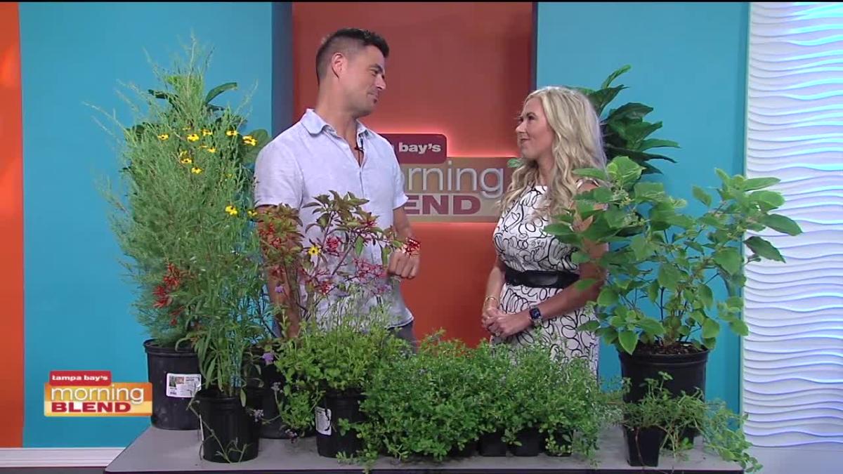 Tampa Home Show Morning Blend