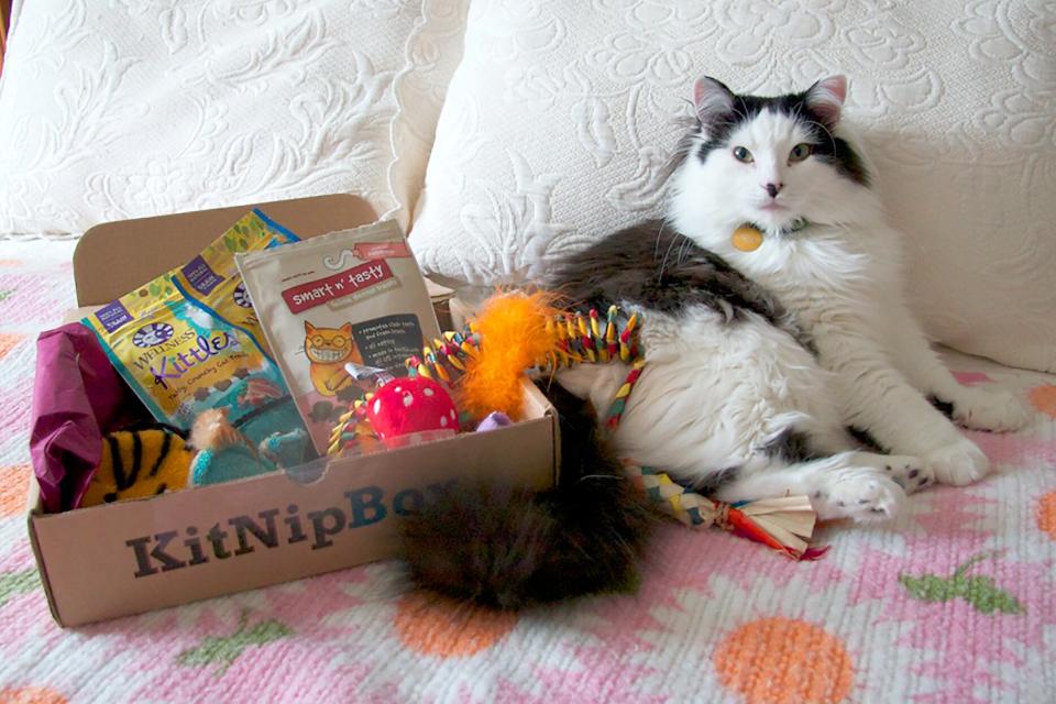 pet subscription boxes