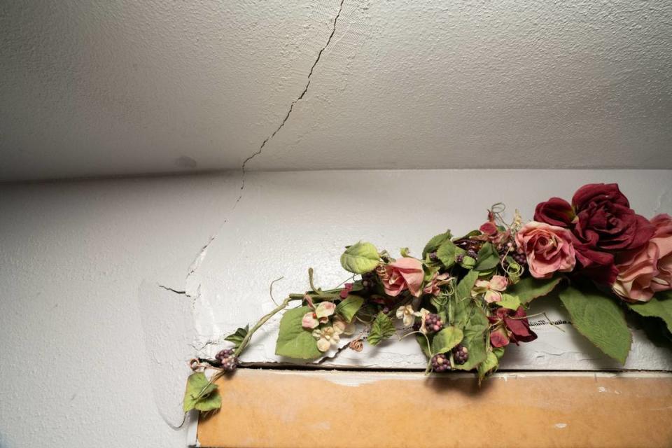 Cahokia Heights resident Yvette Lyles’ bed faces a large crack in the wall over her bedroom closet. She hides it with flowers.