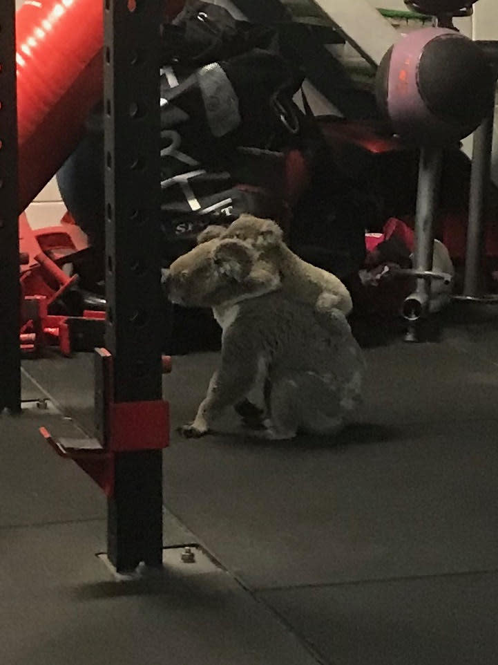 The pair sat on the floor before climbing the equipment. Photo: Supplied/Kiriana Giffin