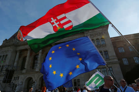 Protesters attend a rally against Hungarian government's clampdown on a top foreign university and non-government organisations in Budapest, Hungary, May 21, 2017. REUTERS/Laszlo Balogh