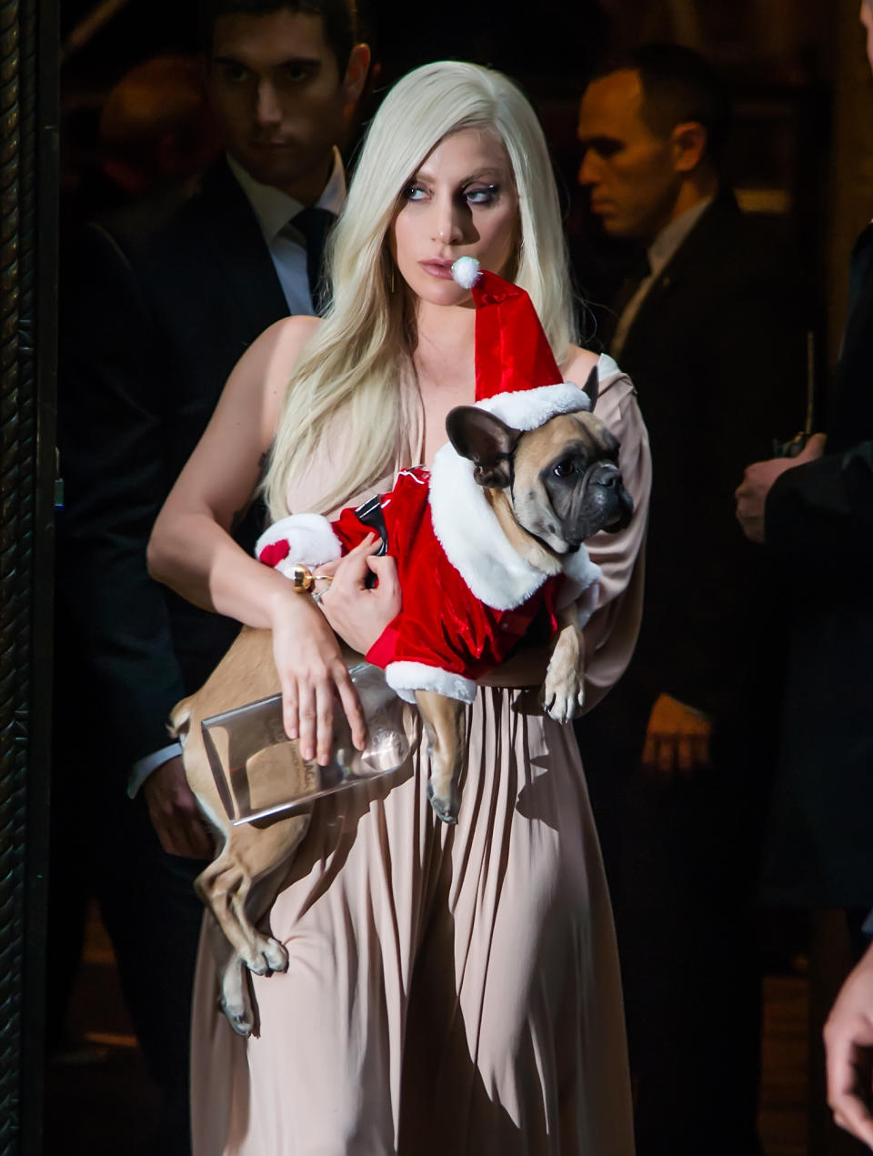 NEW YORK, NY - DECEMBER 11:  Singer-songwriter Lady Gaga and her dog Stella attend Billboard's 10th Annual Women In Music  at Cipriani 42nd Street on December 11, 2015 in New York City.  (Photo by Gilbert Carrasquillo/FilmMagic)