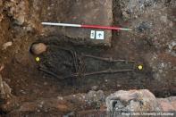 The remains of what may be King Richard III, showing a curved spine and signs of battle trauma.