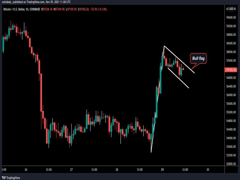 Bitcoin's hourly chart on Nov. 29. (TradingView)