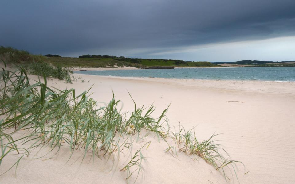 Budle bay