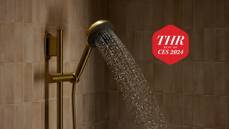 Kohler Spa Viva showerhead