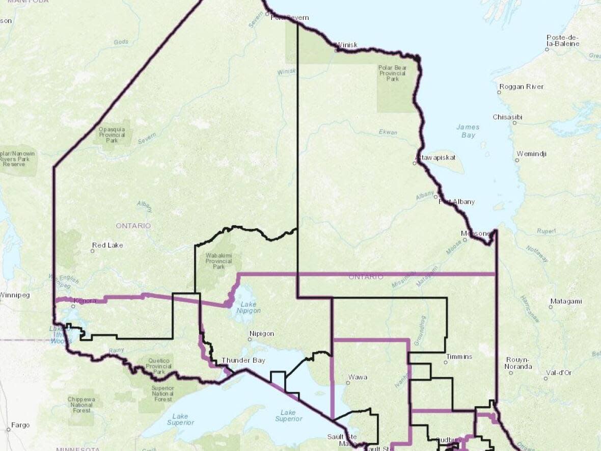 'It's a huge, huge riding,' says Nipissing University political scientist David Tabachnik of the proposed Kiiwetinoong—Mushkegowuk riding.  (Submitted by the Federal Electoral Boundary Commission - image credit)