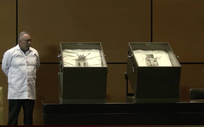 man standing next to two display cases with the non-human bodies