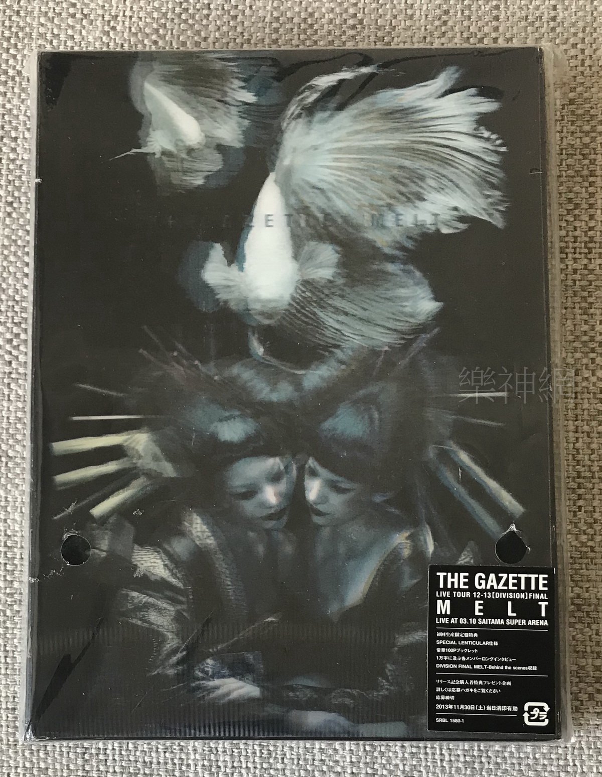 the GazettE live tour 12-13 DIVISION FINAL MELT (日版2 DVD限定盤