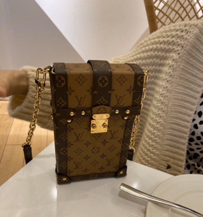 Shop Louis Vuitton Vertical trunk pochette (M63913) by design