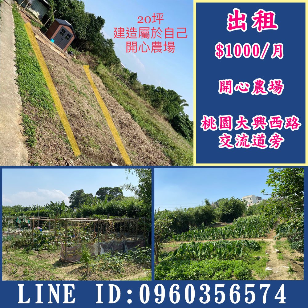 【 小樂器 】開心農場出租 20坪 1000/月 桃園大興西路交流道旁