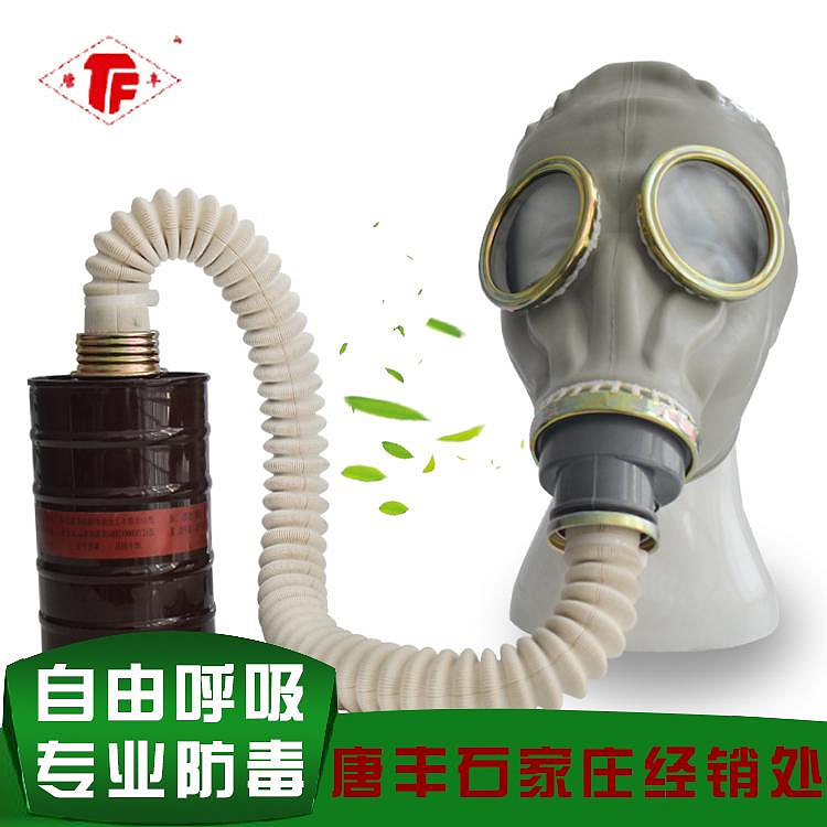 唐豐防毒面具 有機氣體氰化物二氧化硫氨氣一氧化碳甲烷氯氣