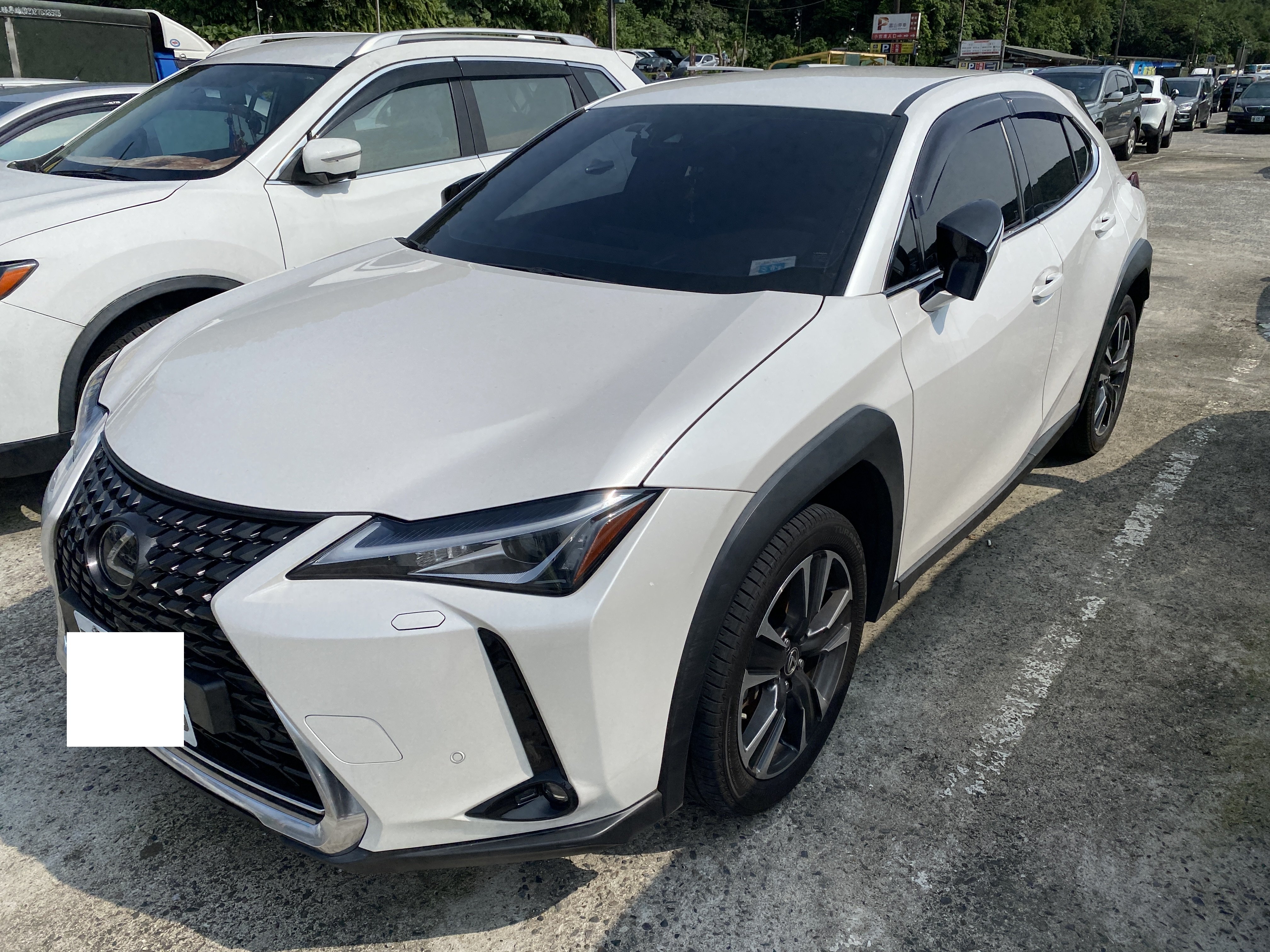 2020 Lexus 凌志 Ux