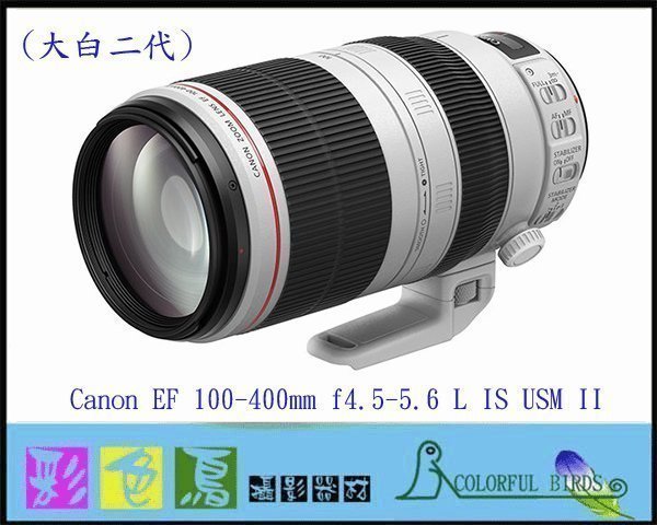 彩色鳥(租 鏡頭 相機 出租)租 Canon EF 100-400mm f4.5-5.6L IS II USM 5D4