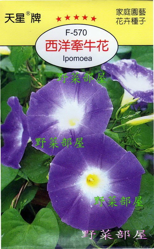 野菜部屋 Y48 西洋牽牛花ipomoea 天星牌原包裝種子 每包15元 Yahoo奇摩拍賣