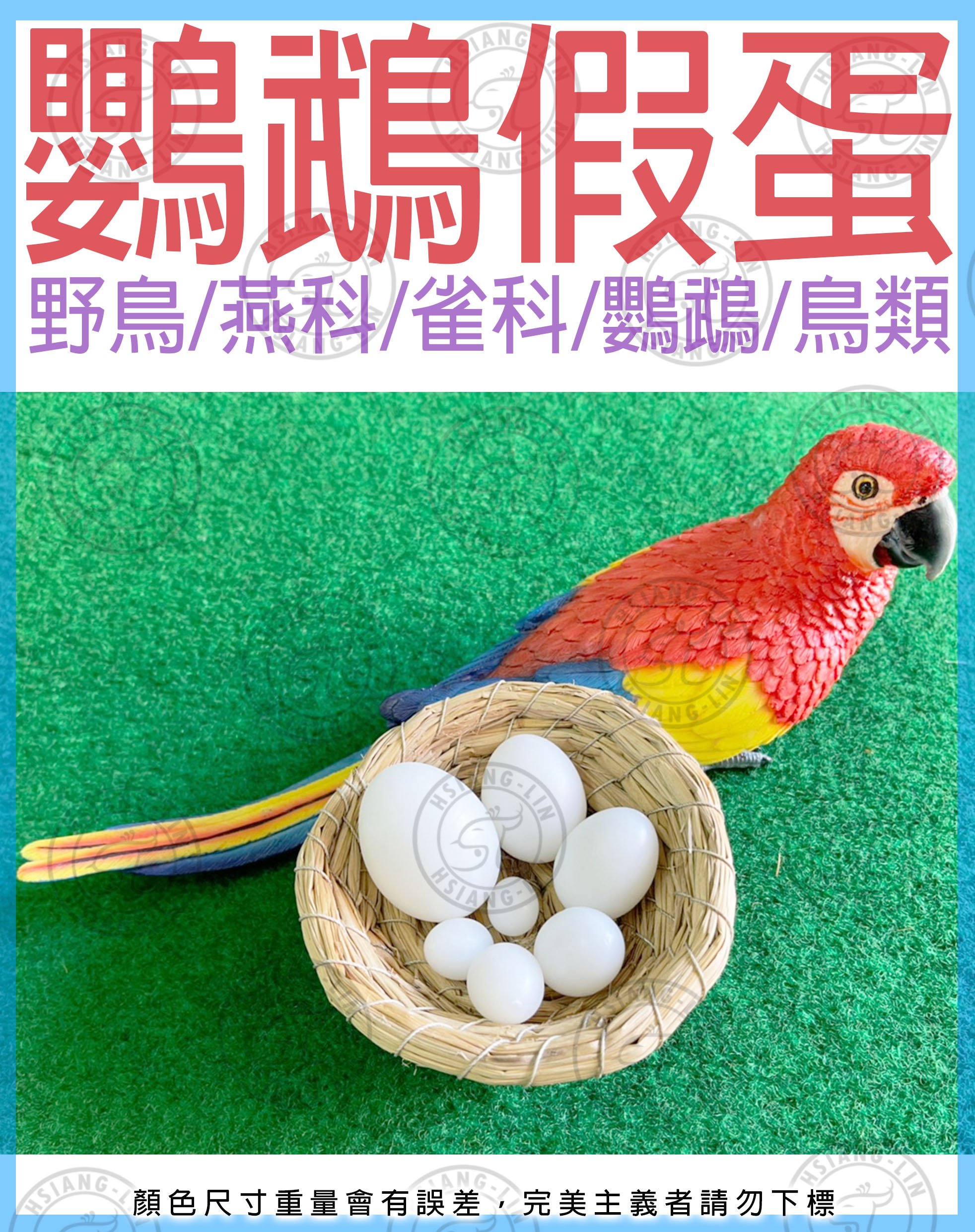 中華鳥園 鸚鵡 鳥 假蛋3顆 組 1號 2號 3號 小型 中型 鸚鵡 鳥類 繁殖 蛋 Yahoo奇摩拍賣