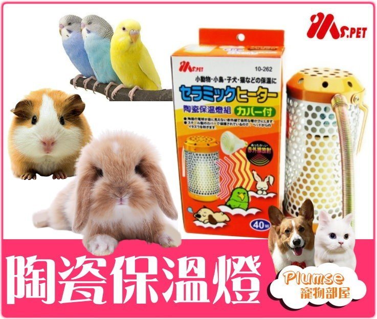 Plumes寵物部屋 Ms Pet 陶瓷保溫燈組 燈罩 燈泡 100w 寵物鼠 兔 鳥 蜜袋鼯 保暖電熱 可超取a Yahoo奇摩拍賣