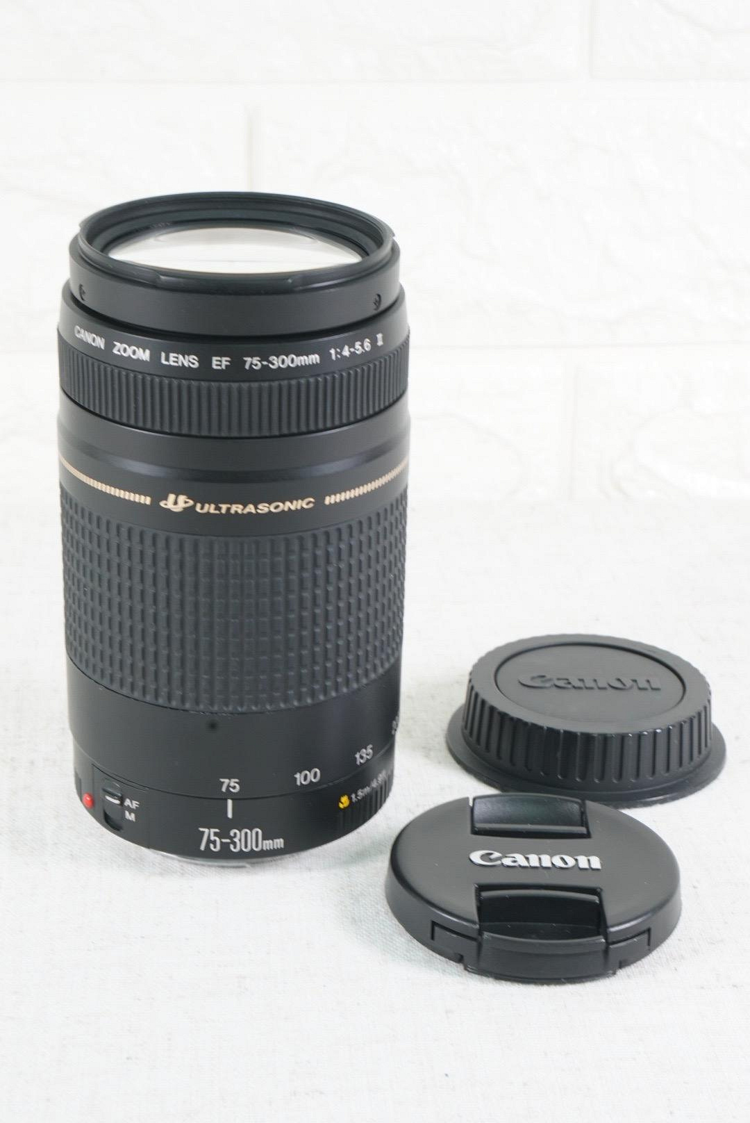 Canon EF 75-300mm f4-5.6 IS II USM 遠攝變焦鏡頭