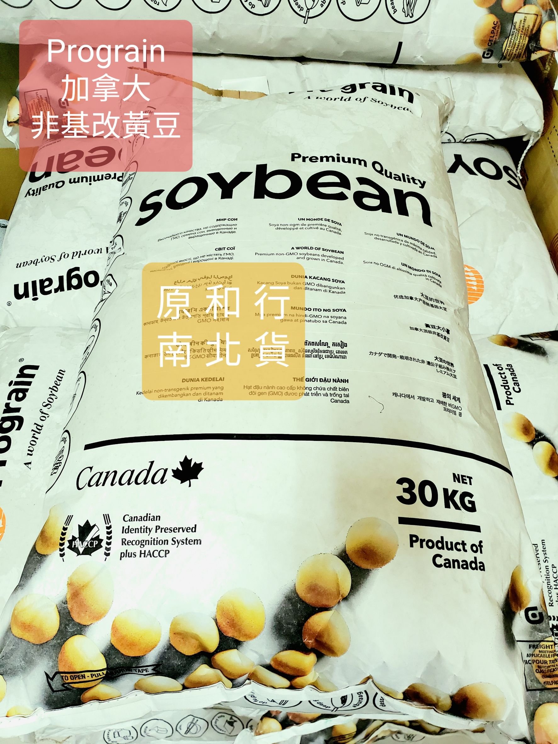 Prograin／DG 加拿大食品級非基改黃豆３０公斤〔原和行〕宅配免運！２袋再特價！ip非基因改造黃豆